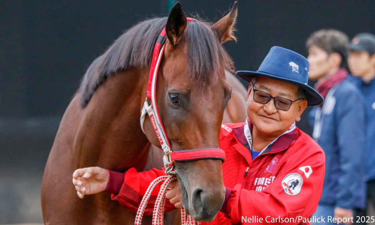 Forever Young becomes first dirt horse to be named JRA Horse of the Year