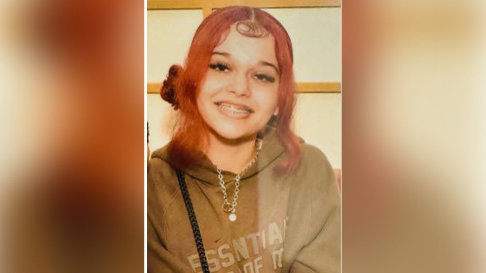 Missing in Georgia: Police searching for teenage girl who vanished