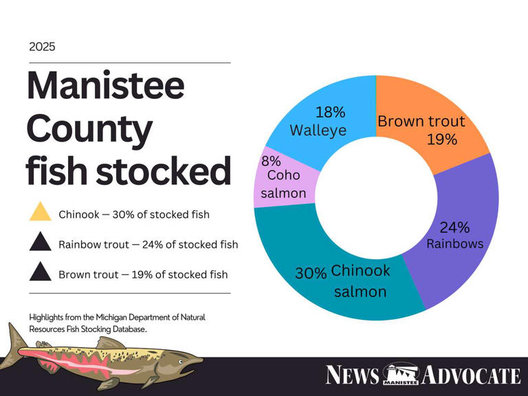 Chinook salmon were the county's top fish stocked in 2025