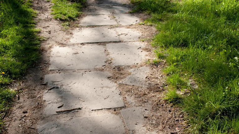 Transform your home by eliminating these 12 front yard eyesores