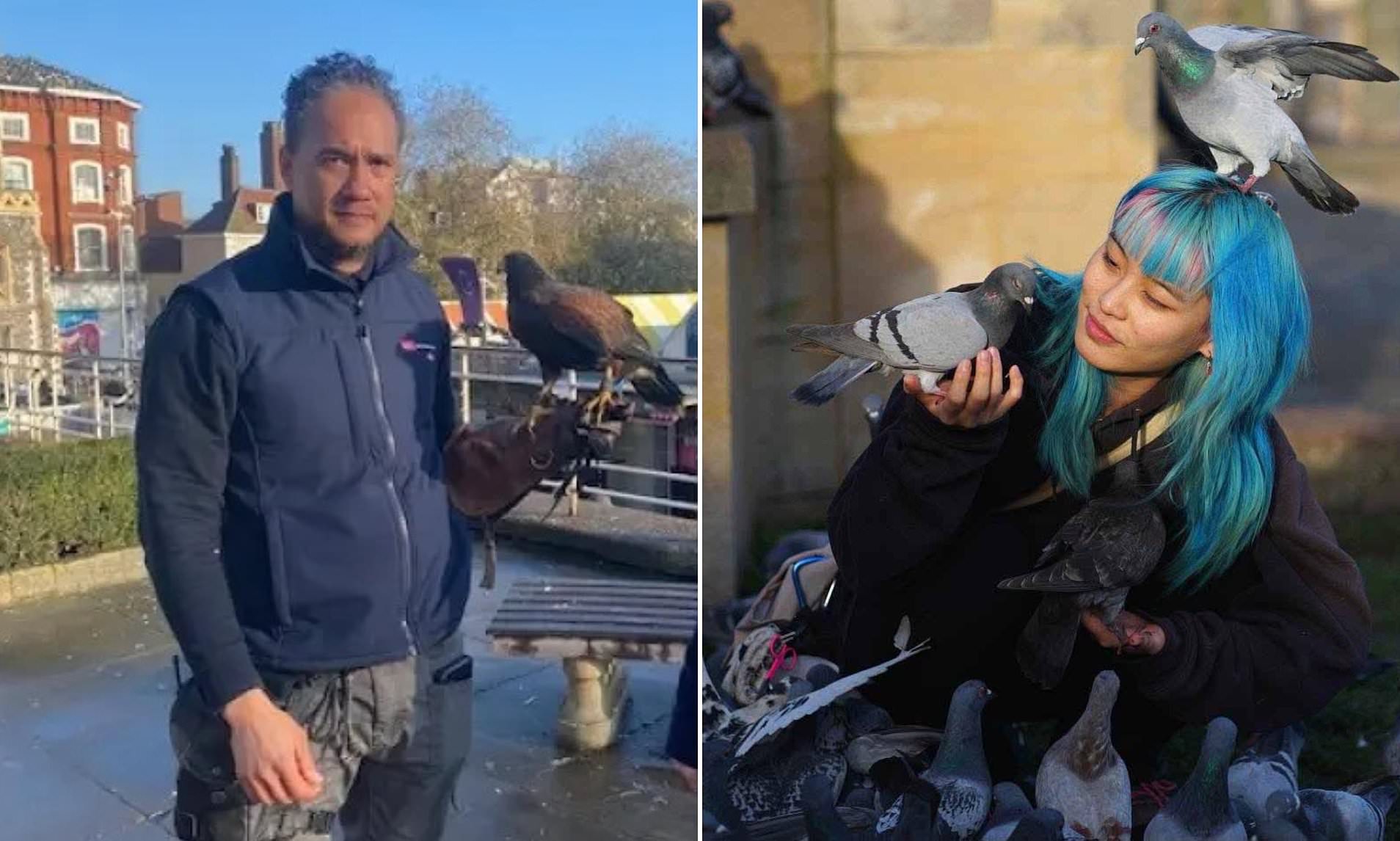 Council hawks fail to stop plague of pigeons - after residents feed the ...