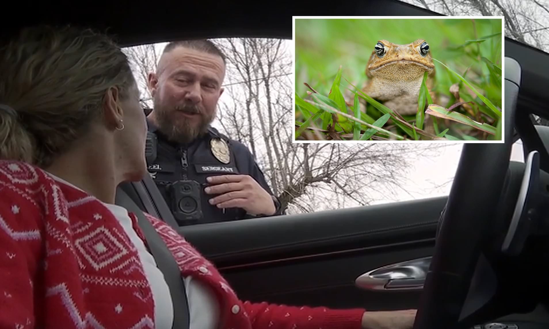 Police department's crime report says officer turned into a frog in new ...