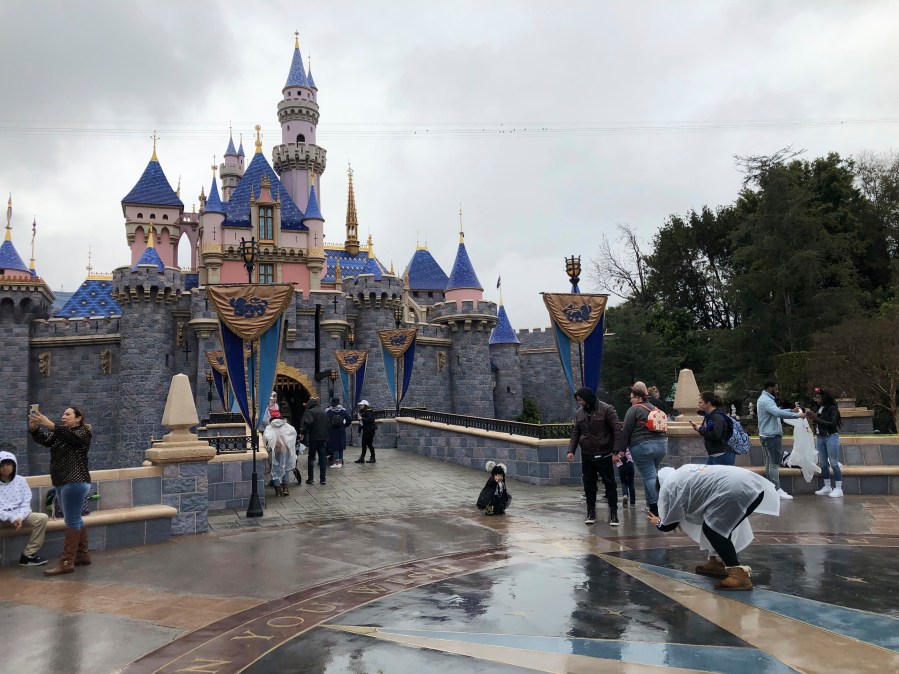 Disneyland brawl suspect urged to come forward<br>