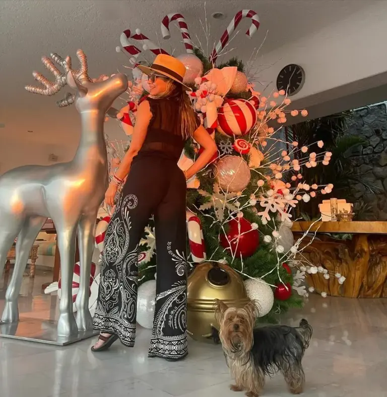 Interior de la casa de Aracely Arámbula. Foto: Cortesía