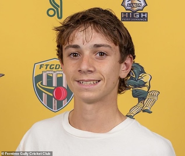 Parents of teen killed in cricket tragedy reveal their message to boy ...