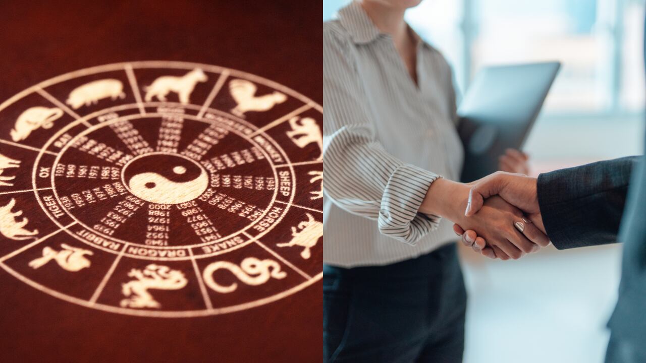 Chinese Zodiac: 3 Signs Poised for Career Success in 2026 - entretenimiento news from Semana