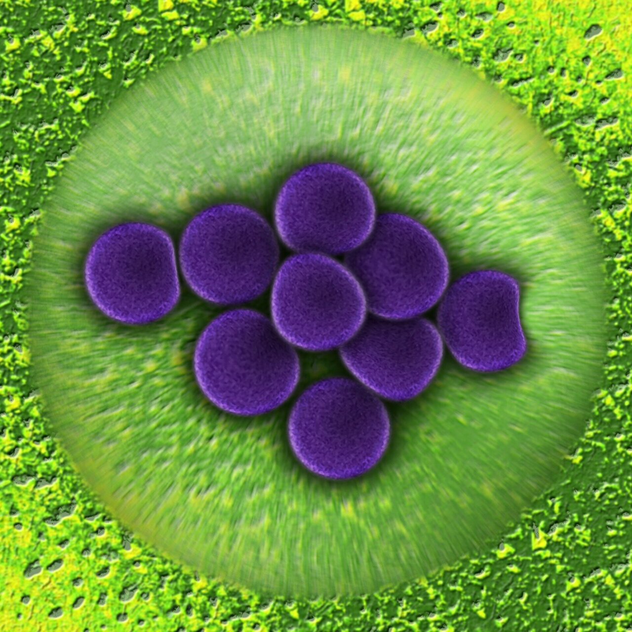New Clinical Standards Strengthen Antimicrobial Stewardship In 
