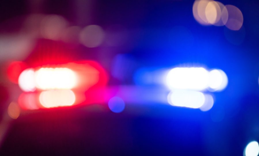 Denver driver allegedly assaulted by owner of dog hit by car<br><br>