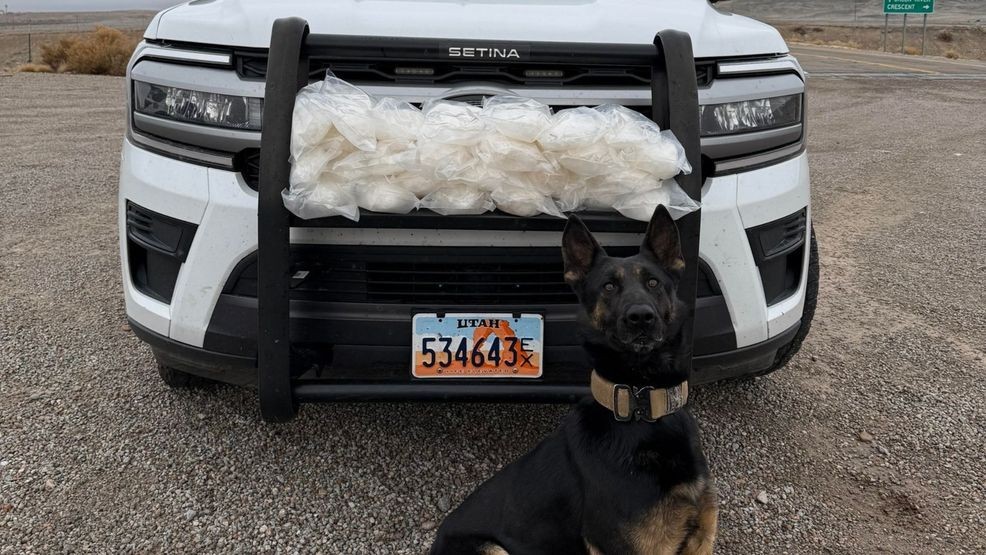 K-9 finds nearly 30 lbs of methamphetamine during Green River vehicle ...