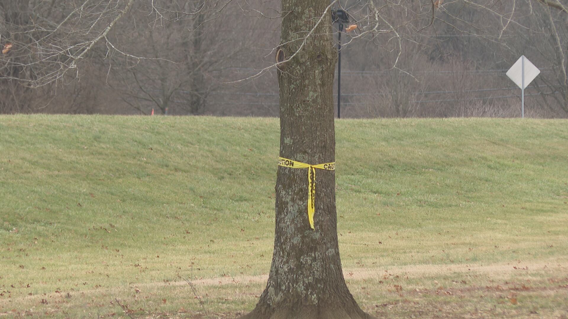 Kentucky county launches project to plant 30,000 trees by 2030