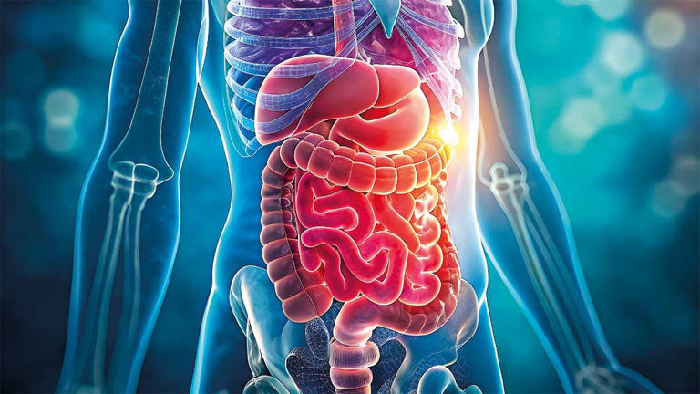 10 gut healing foods that support digestion and gut health