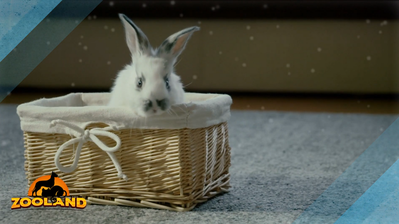Bunny isn’t bothered that he’s trapped in the food jar