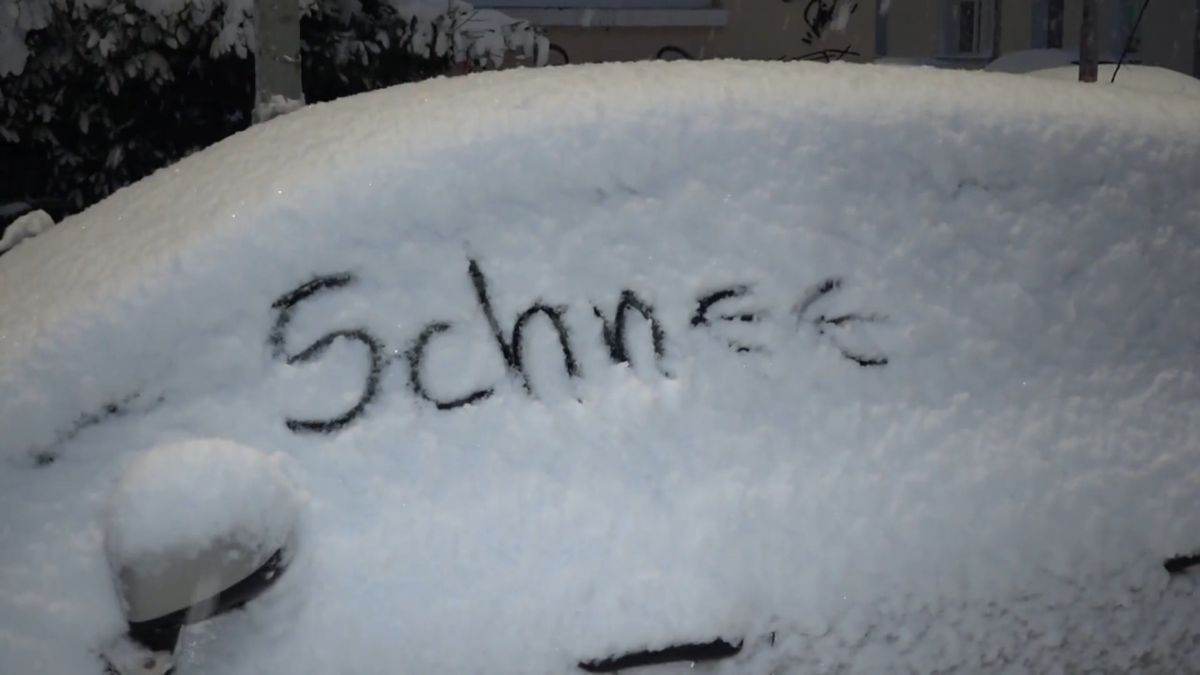 Schne I M S A Bild