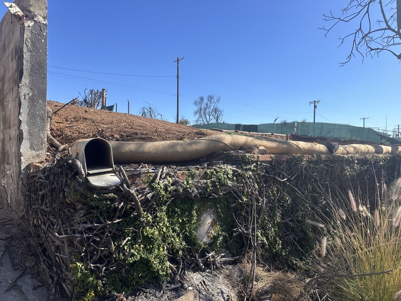 Palisades fire recovery study highlights insurance, permitting and ...