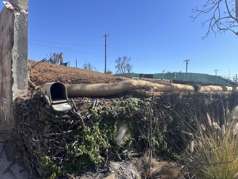 Brush clearance inspections hit May 1 with fines still applied for ...