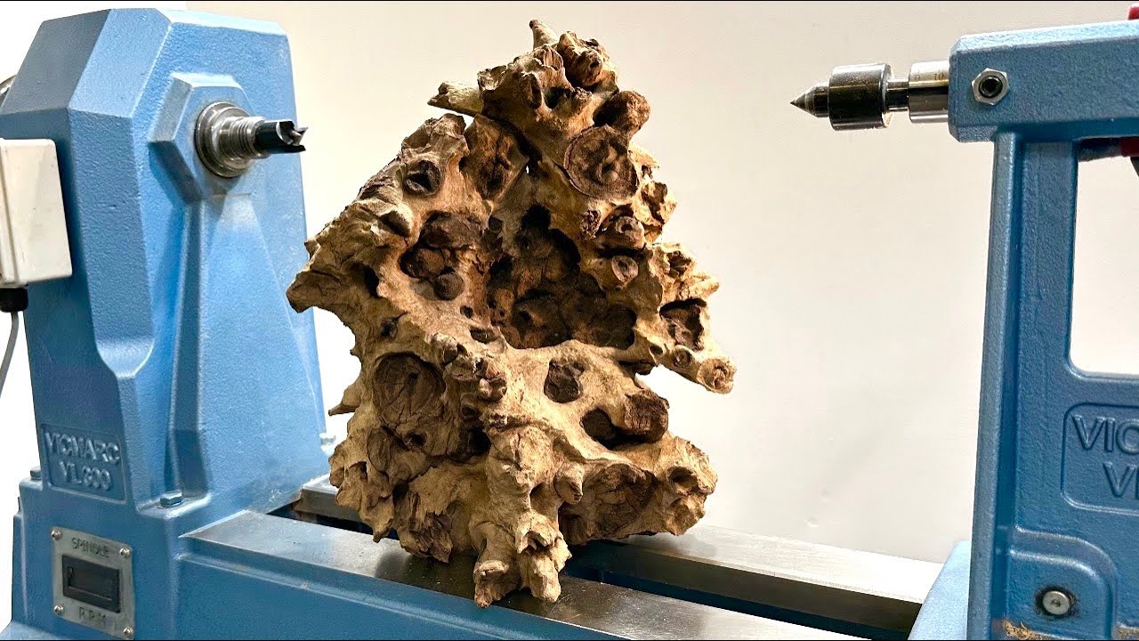 Who knew an exotic root ball could look like this?