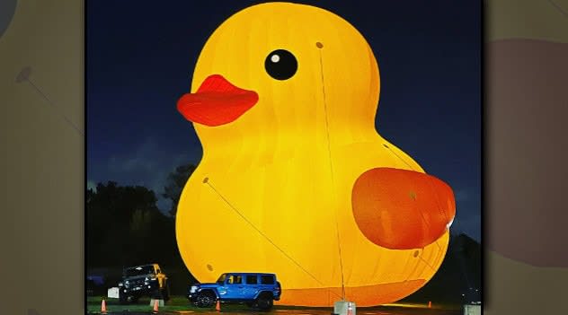 Get ready to quack: World’s largest rubber duck making a splash in ...