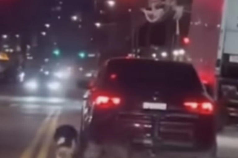 Horror video shows moment 2 dogs dragged behind car in front of shocked ...