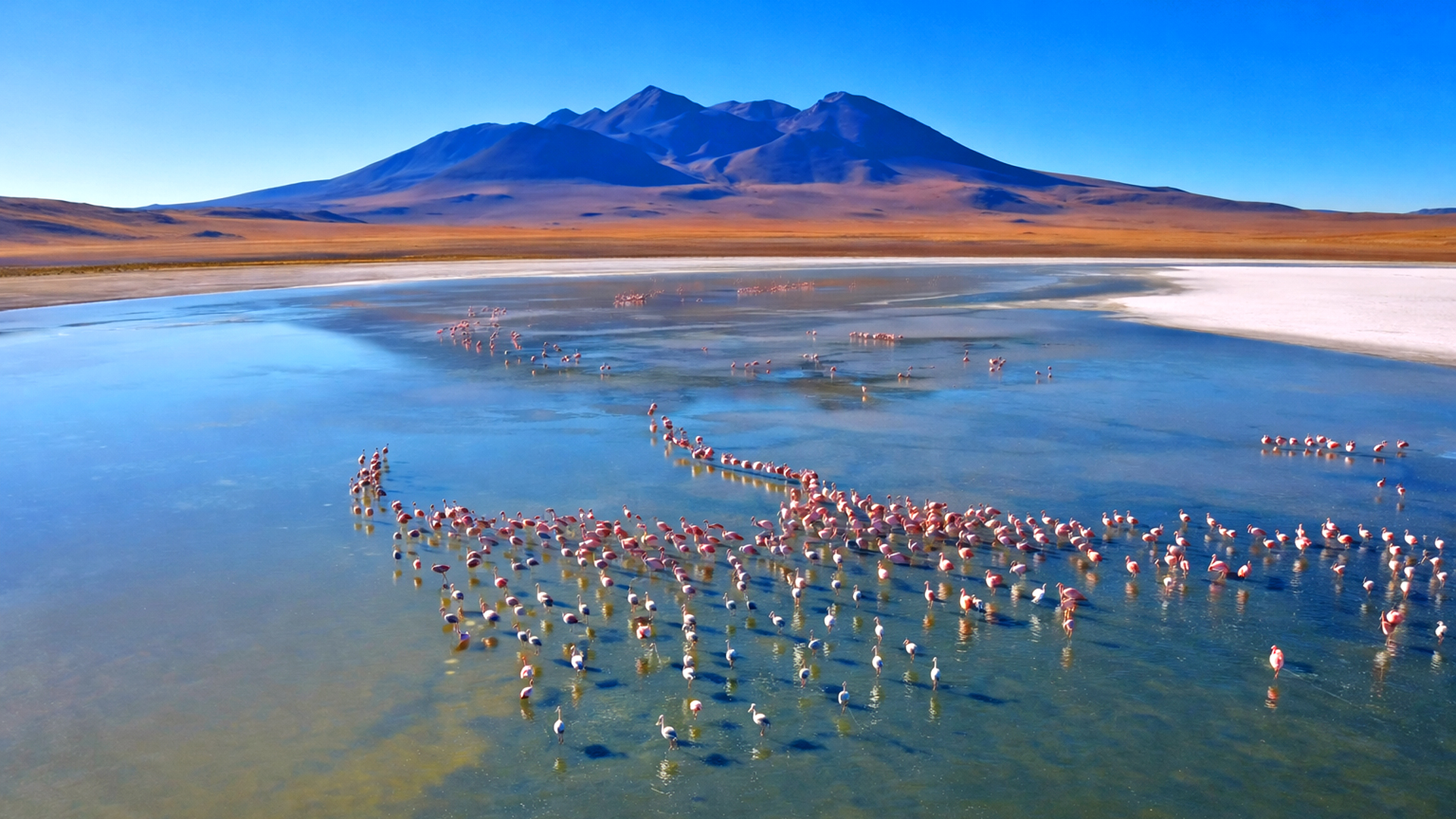 A peaceful high altitude lake in the Andes Mountains