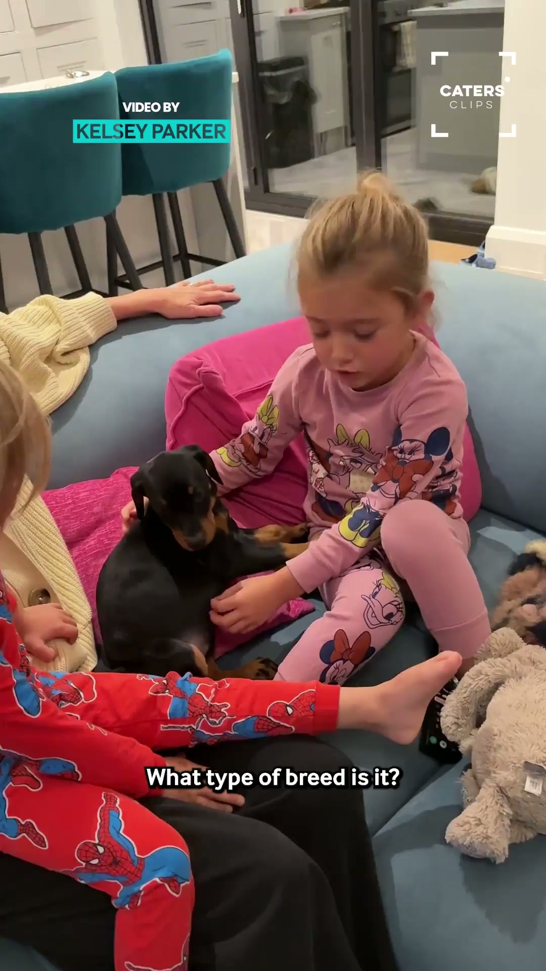 Surprising the kids with a Doberman puppy