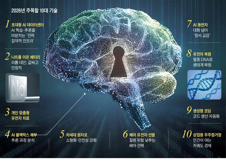 MIT review names AI MRI a 2026 breakthrough
