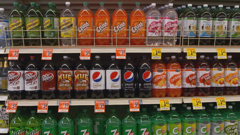 Gamme D'assiettes Pour Bébés & Enfants Sans BPA, Sans Plastique, De Chez