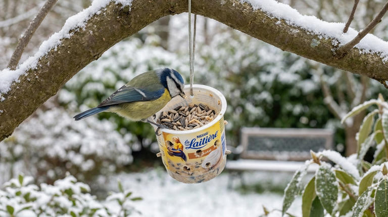 Mangeoire Oiseaux Exterieur 0,8 Kg Marron Mangeoire Pour Oiseaux Abri à Oiseaux