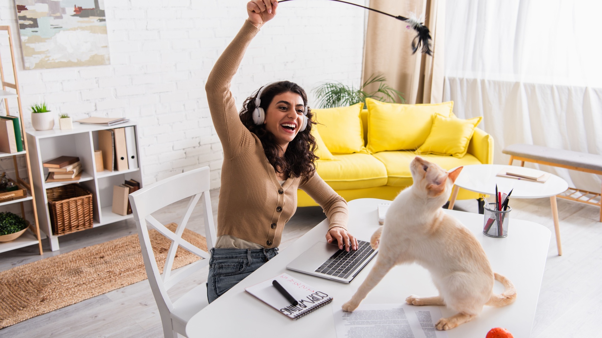 Activities to do with your cat