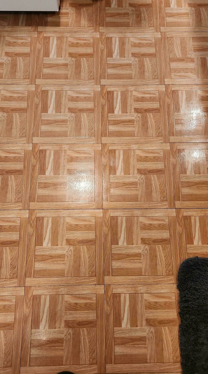 ‘When You See It’: 28 Perfectly Camouflaged Things That Take Ages To Find