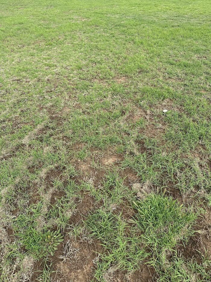 ‘When You See It’: 28 Perfectly Camouflaged Things That Take Ages To Find
