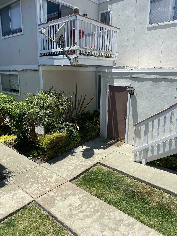 ‘When You See It’: 28 Perfectly Camouflaged Things That Take Ages To Find