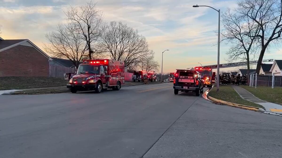 3 pets killed; 2 adults displaced after Lexington house fire
