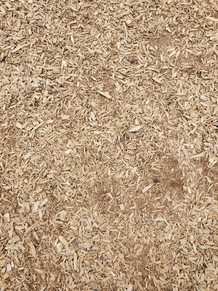 ‘When You See It’: 28 Perfectly Camouflaged Things That Take Ages To Find