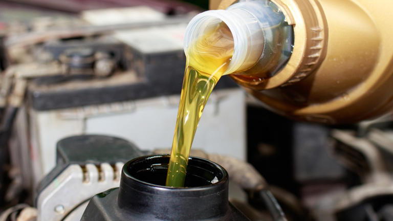 Vegetable oil in an engine? The results are in