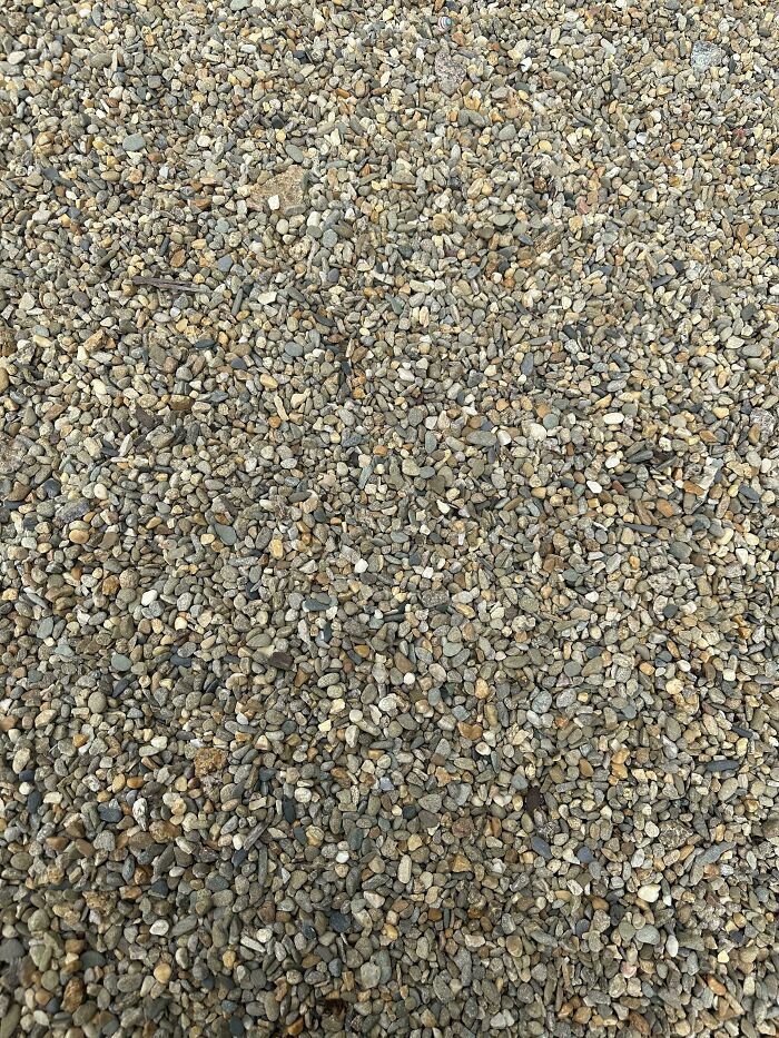 ‘When You See It’: 28 Perfectly Camouflaged Things That Take Ages To Find