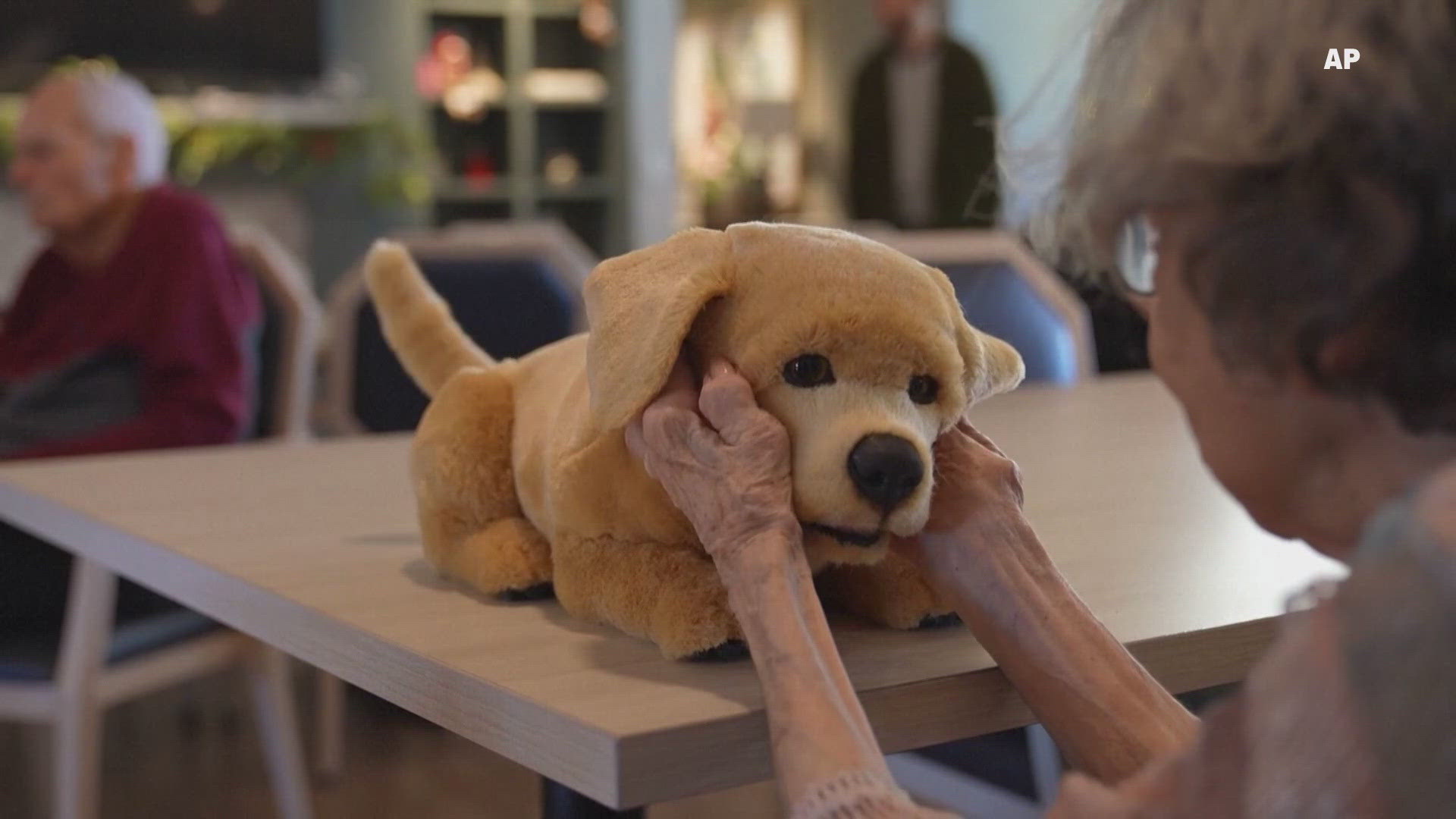 Robotic dog offers comfort to seniors with dementia, Alzheimer's