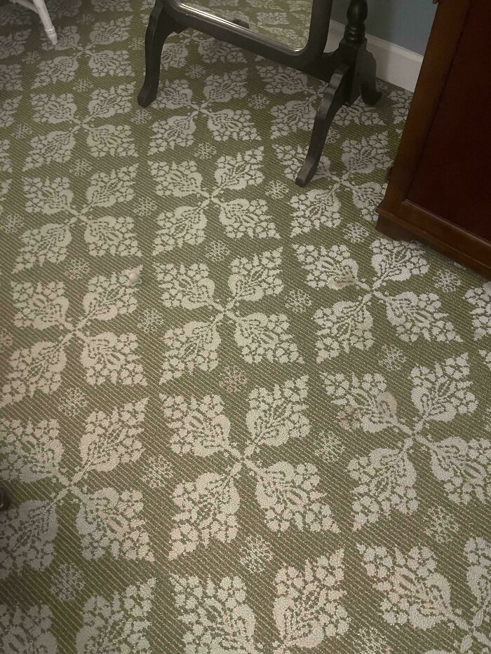 ‘When You See It’: 28 Perfectly Camouflaged Things That Take Ages To Find
