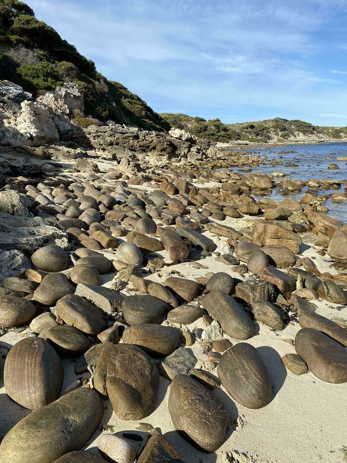 ‘When You See It’: 28 Perfectly Camouflaged Things That Take Ages To Find