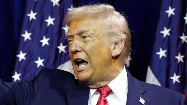 Trump reacts to ICE agent fatally shooting woman in Minneapolis