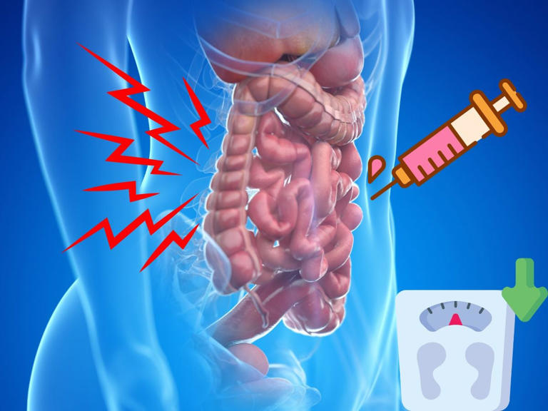 Semaglutina: cómo se receta y su efecto en cada órgano. Foto: Canva.