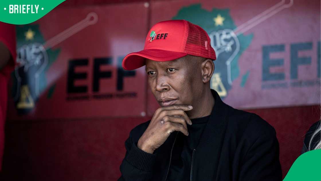 Malema wants Paul O’Sullivan, Brown Mogotsi to appear in person before ...