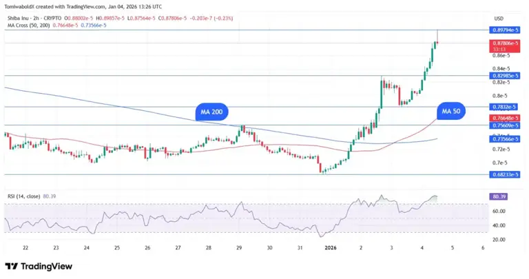 Shiba Inu price prediction: Can SHIB rise higher than this new crypto ...