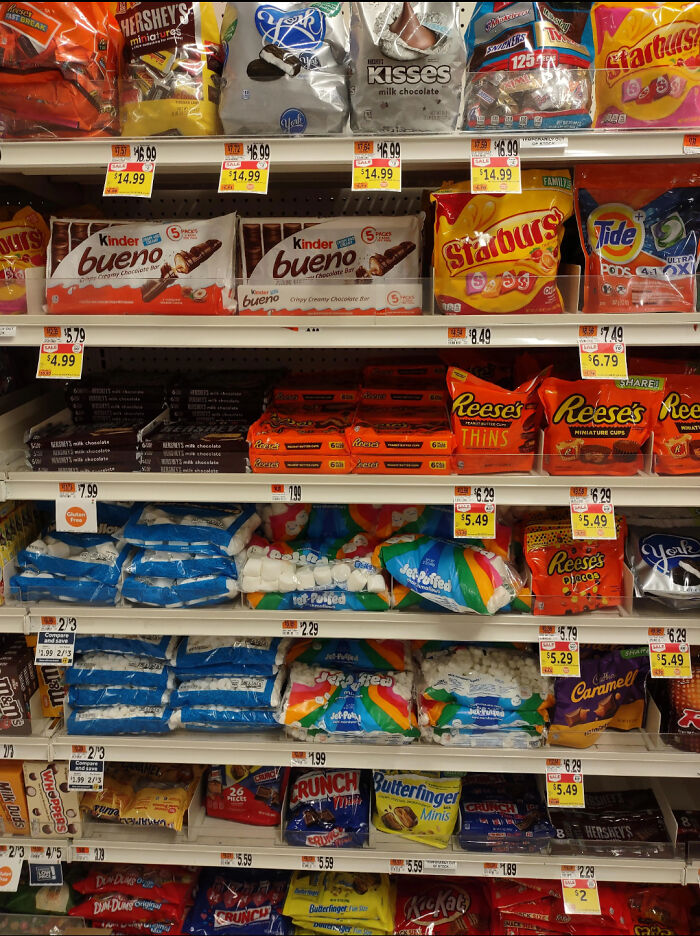 ‘When You See It’: 28 Perfectly Camouflaged Things That Take Ages To Find