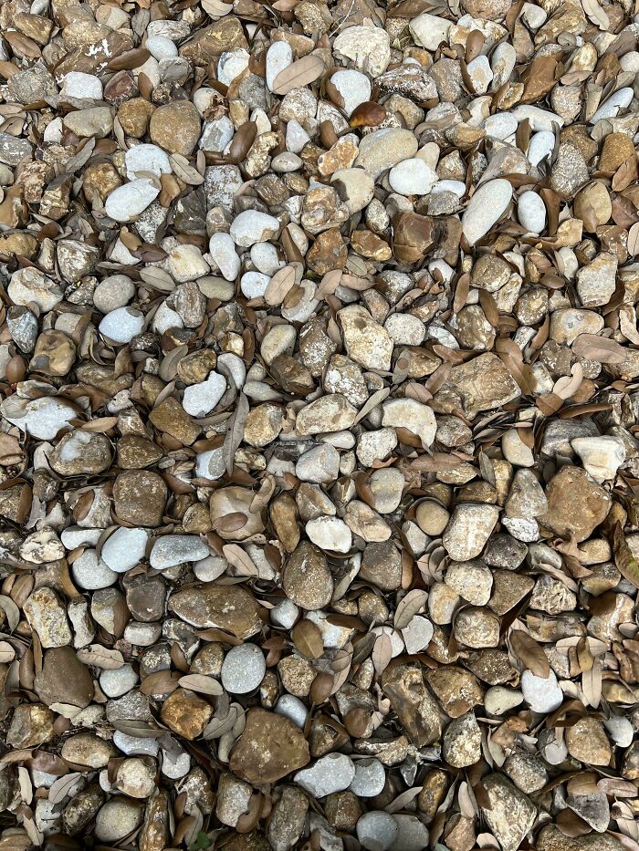 ‘When You See It’: 28 Perfectly Camouflaged Things That Take Ages To Find