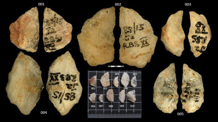 60,000-year-old arrow poison reveals early human intelligence in hunting