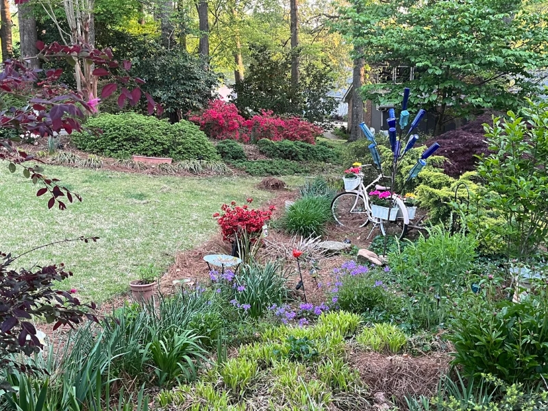 Homeowner makes surprising argument for why you should consider ...