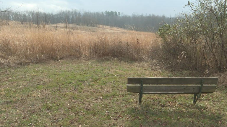 Prosecutors detail alleged New Year’s Eve terror plot at Mint Hill ...