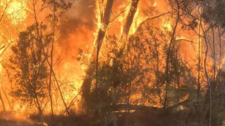 'Catastrophic': Bushfires rage, 47C carnage