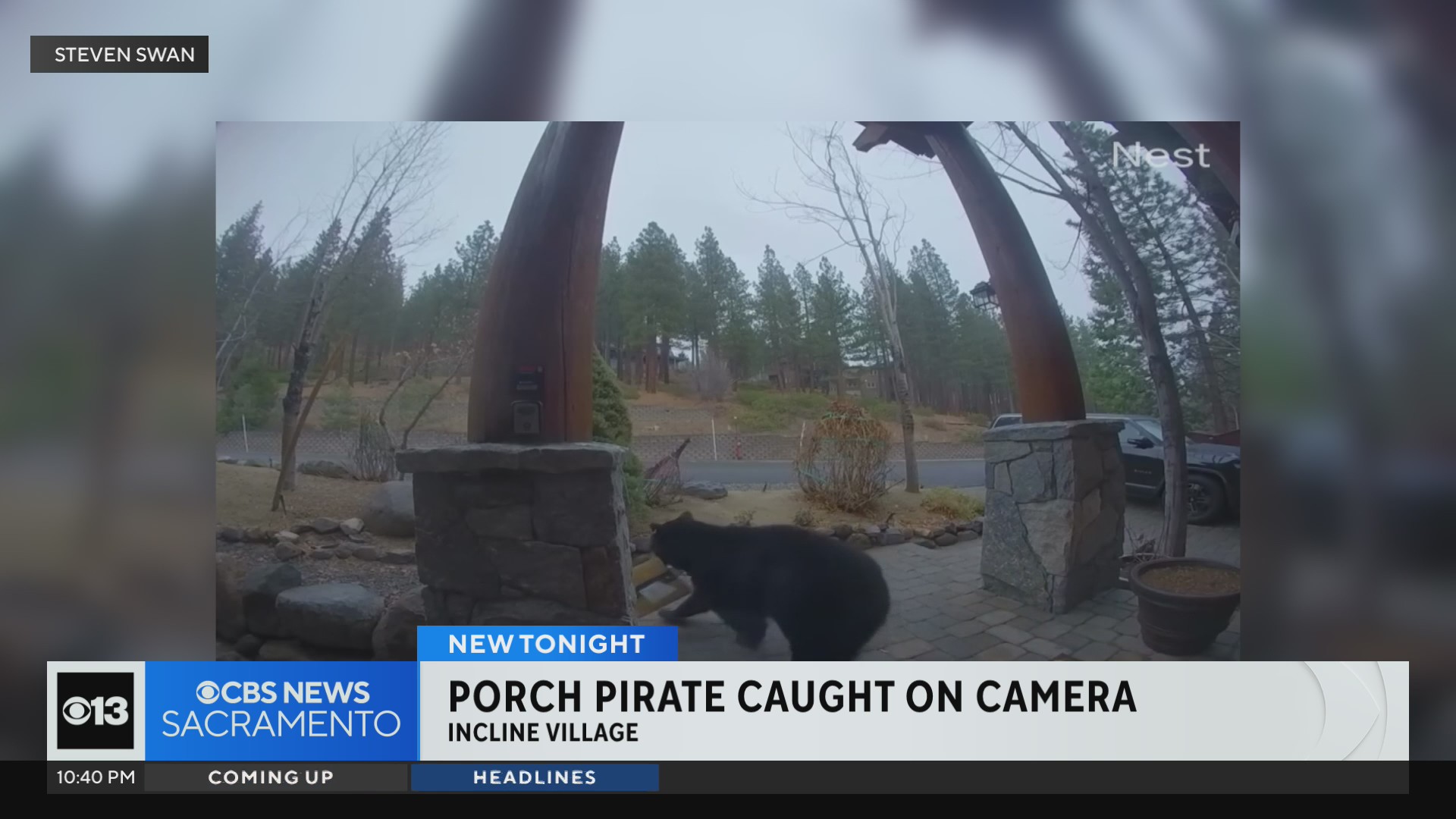 Bear caught on camera stealing package from Incline Village porch