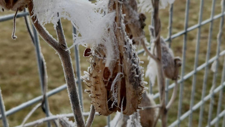 What caused Wednesday's freezing fog?